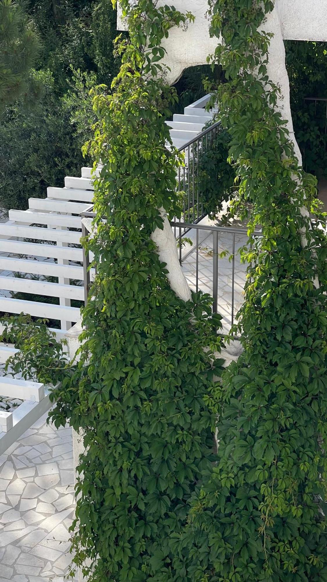 Apartment Przno Oliva *